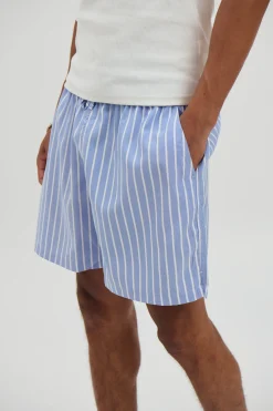 Nolan Trunk Blue
